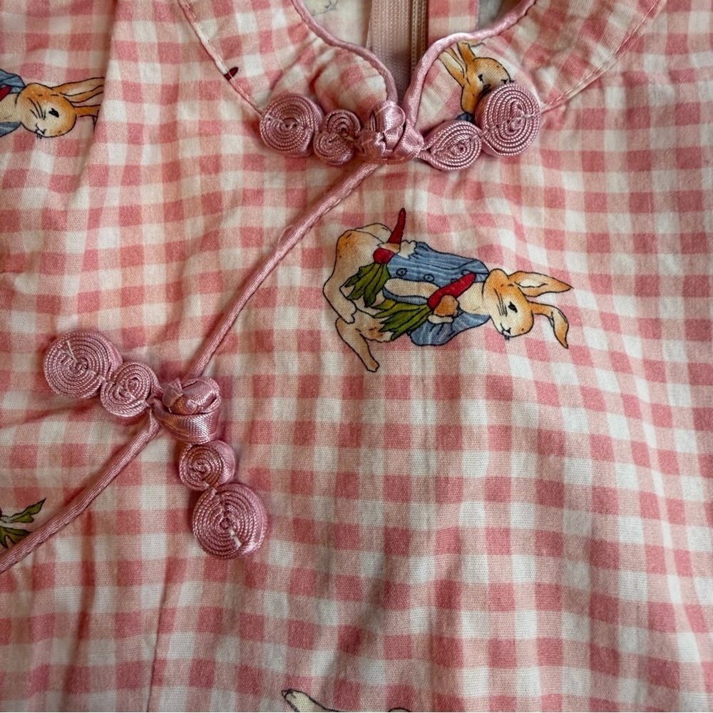 Pink Gingham Kids Dress with Peter Rabbit Motif Easter - Picture 3 of 7